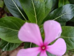 -热火朝天鲜切牛肉火锅(南强街巷店)