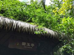 -呀诺达热带雨林