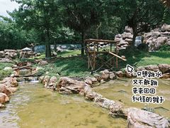 -广州长隆野生动物世界