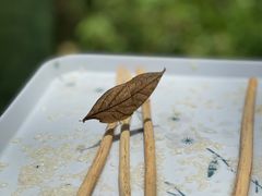 -野象谷景区