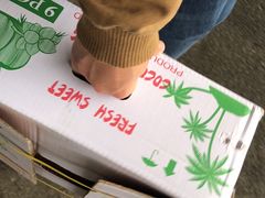 -江杨农产品批发市场