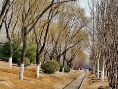 -永定河休闲森林公园