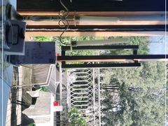 -一棵树·意大利西餐厅One Tree(新城店)