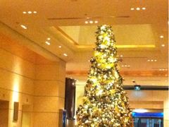 电梯前室-上海波特曼丽思卡尔顿酒店