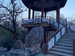 -莲花池公园