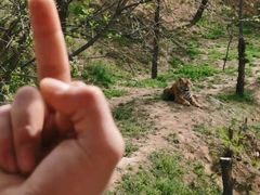 -石家庄市动物园