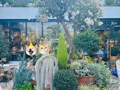 -自由生长植物工作室(深港花卉中心店)