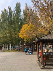 -大望京儿童游乐场