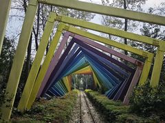 -合肥滨湖国家森林公园