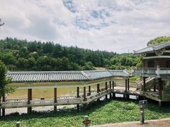 -九鲤湖风景区