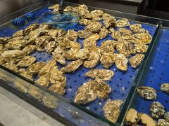 -蓝鲸湾汤泉(包河店)