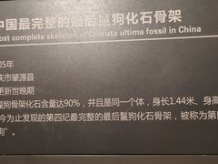 -大庆市博物馆