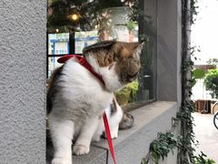 -转山咖啡(松柏社区店)