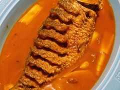 红烧黄河鲤鱼-阿五黄河大鲤鱼(纬三路店)