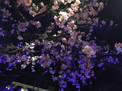 大堂-绿茶餐厅(松江万达店)
