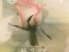 -芸山季·云南山珍菌火锅(人民广场来福士店)