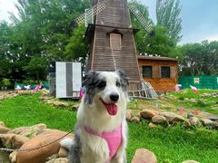 -长白岛森林公园