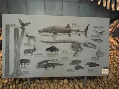 -浙江自然博物院(杭州馆)