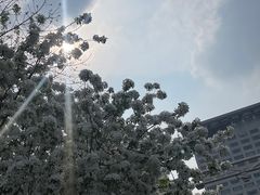 -北京奥林匹克公园