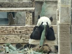 -无锡动物园·太湖欢乐园