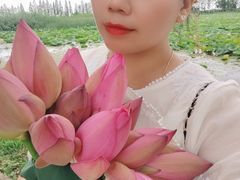 -洪湖生态旅游区