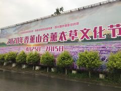 -紫颐香薰山谷景区