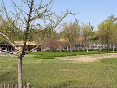 -秦皇岛野生动物园