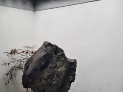-秋霞圃