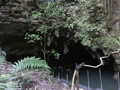 景点-怀托摩萤火虫洞