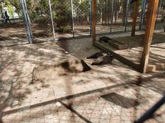 -长白岛森林公园