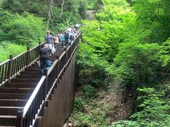 -天女山森林公园