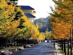 -洛阳白云山景区