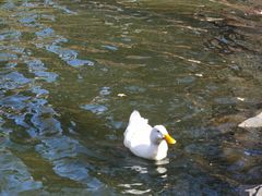 -农园餐厅(北京大学店)