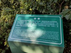 -紫金山天文台