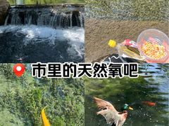 -水磨沟公园