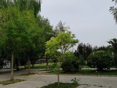 -杨柳青庄园