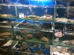 水产区-小船渔村•大连菜•大连焖鱼(明泽街店)