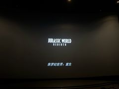 -金逸影城(武汉人信汇IMAX店)