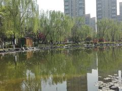 -木塔寺遗址生态公园