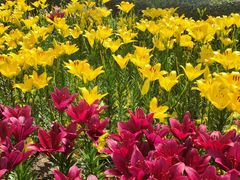 -长春公园(普阳街道)