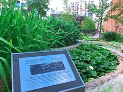 -活水公园