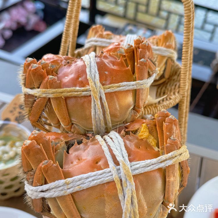 秋天🍂…肯定要来一趟莲花岛吧！