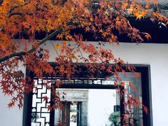-秋霞圃