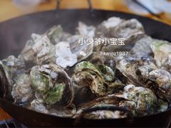 -蚝专家(北滘店)