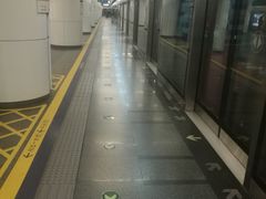 -大望路(地铁站)