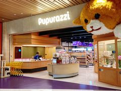 -帕帕拉兹宠物(亚洲旗舰店)