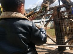 -昆明动物园