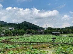-红山村