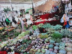 -秦美花卉(天朗·莱茵小城2期店)