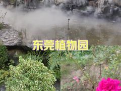 -东莞植物园